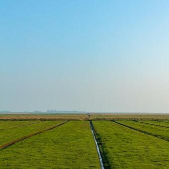 Apartamento Studioappartement Koenigsacker