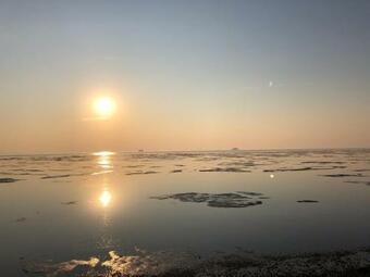 Apartamento Kapit�nshaus Meerblick