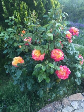 Apartamento Residence Lithos