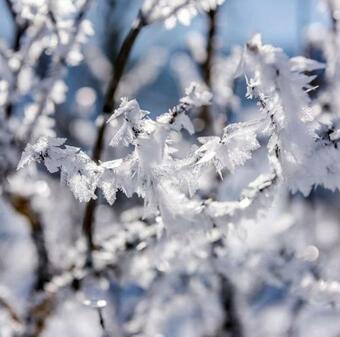 Lodge Alla Stalla Suite & Chalet