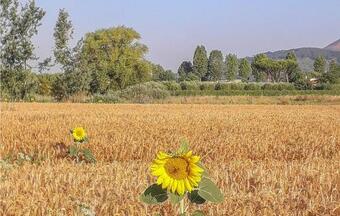 Amazing Apartment In Pisa With 2 Bedrooms