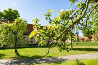 Privatzimmer R. & R. Andersen