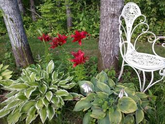 Bed & Breakfast Twisted Willow Bnb