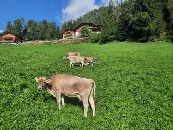 Apartamento Kalchgruberhof Urlaub Am Bauernhof