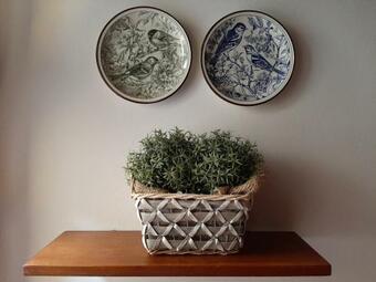 Apartamento Casa Leopoldo