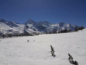 Apartamento Appartament Anna 4