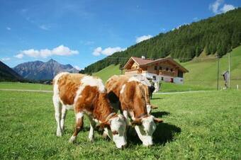 Apartamento Ferienwohnungen Unterangerhof