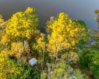 Tentrr State Park Site - Mississippi Percy Quin State Park - Eastside Lakeview E - Double Camp