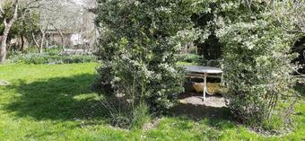 Die Stadtvilla - G�stehaus Mit Gemeinschaftsk�che