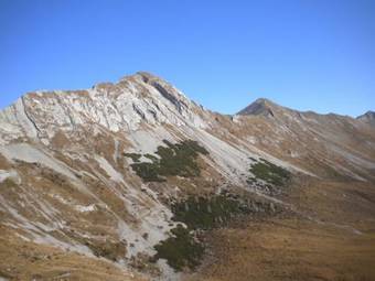 Aparthotel Forellenhof Waldner