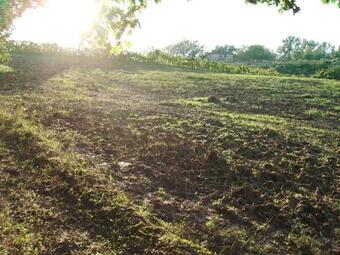 Agroturismo Agriturismo La Querce