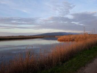 Hostal L'agrumeto Segreto