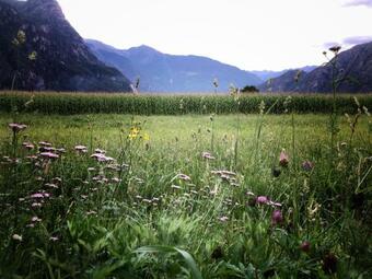 Agroturismo Agriturismo Summus Lacus