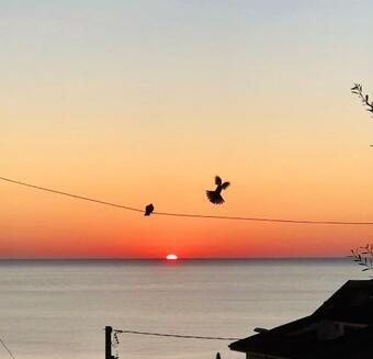 Bed & Breakfast Evergreen