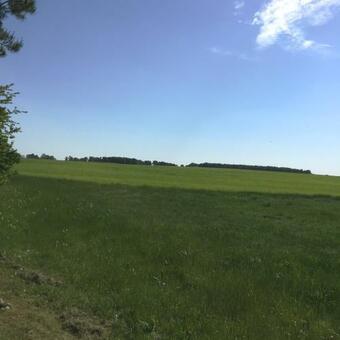 Mirow-l�rz- Ruhe Pur- Wald&see - Haus Mit Grundst�ck&wald