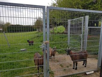 Apartamento Ferienwohnung/monteurzimmer Auf Dem Bauernhof