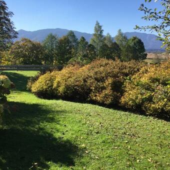 Apartamento Ferienwohnung Christensen