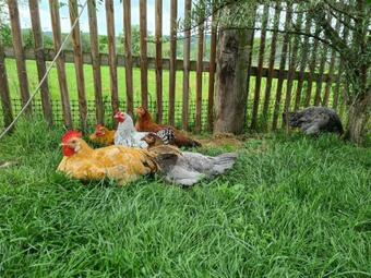 Apartamento Ferienwohnung H�gel Gro�jena