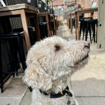 Coach House In The Wolds