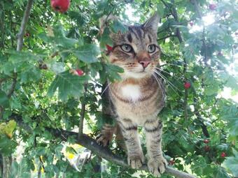 Gutshaus Landwert Hof