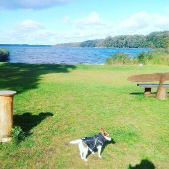 Haus "bl�cher" Tinyhouse Mobilheim