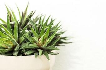 Apartamento Das Moderne