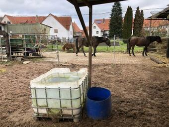 Apartamento Ferienwohnung Mit Herz