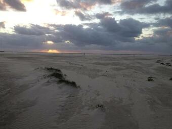 Apartamento Ferienhof Am Deich