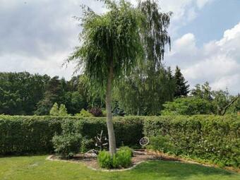 Apartamento Big Mama_s Home