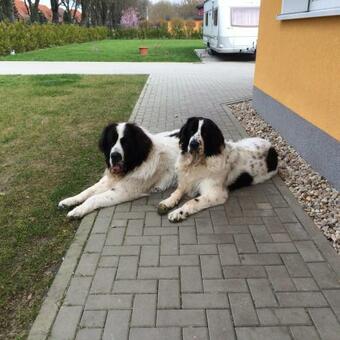 Ferienhaus Zum Imker