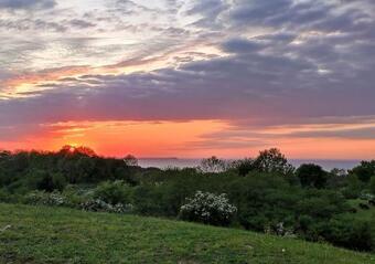 Apartamento Idyllische Ferienwohnung Am Moor Lohme Rueg 2321