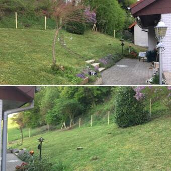 Ferienhaus Moscheltal