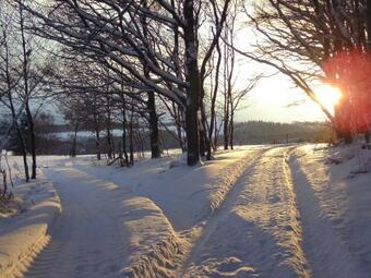 Apartamento Ferienhaus Am Wald