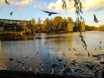 Apartamento Elbquartier | Ferienwohnung In Wedel