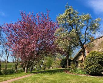 Apartamento Haubarg Alte Strandvogtei