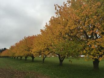 Apartamento Premium Ferienwohnung Sonnenaufgang