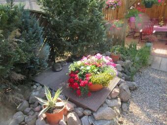 Apartamento Ferienwohnung Rogge (stendal)