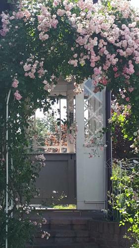 Apartamento Zum-englaender