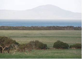 Black Cockatoo Cottages