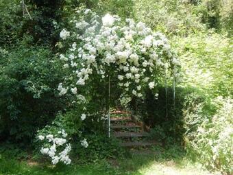 Schloss Zingst Haus 1