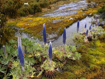 Agroturismo Refugio De Tygua