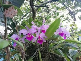 Hostal La Casona Pueblo Bello