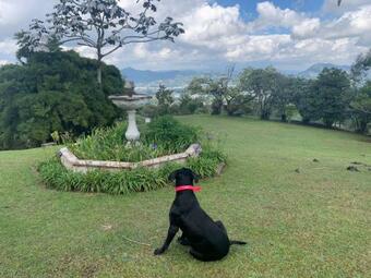 Caba�a Acogedora Y Tranquila En La Ceja