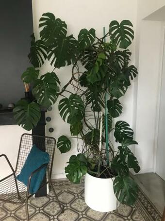 Apartamento Le Marais