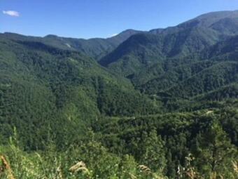 Heavenly Tuscan Cottage A Perfect Romantic Retreat For Couples