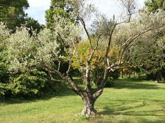 Mas De La Cabrette B&B