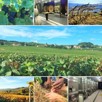 Le Clos De La Tourelle