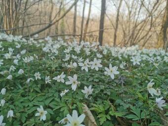 Agroturismo Agriturismo Teresa Delle Fragole