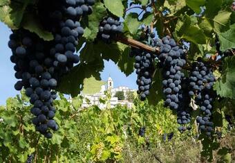 Casa Vacanza Contado Latino