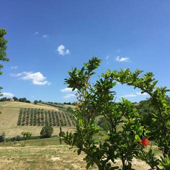 Apartamento Il Giardino Nella Valle